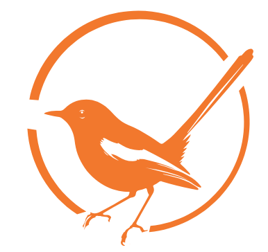 BIRDI